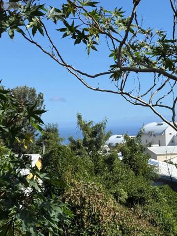 Achat - Terrain à bâtir Saint-Pierre 97250 515 m 2