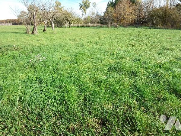 TERRAIN CONSTRUCTIBLE DE 1545 M² A FOUGERES SUR BIEVRE, 10 MNS DE CONTRES