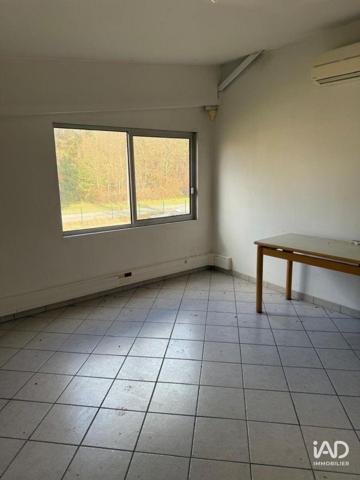 Local d’activité à vendre 4 570 m² Fontenay-sur-Loing