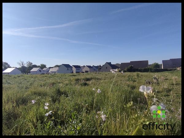 Terrain - 363 m²