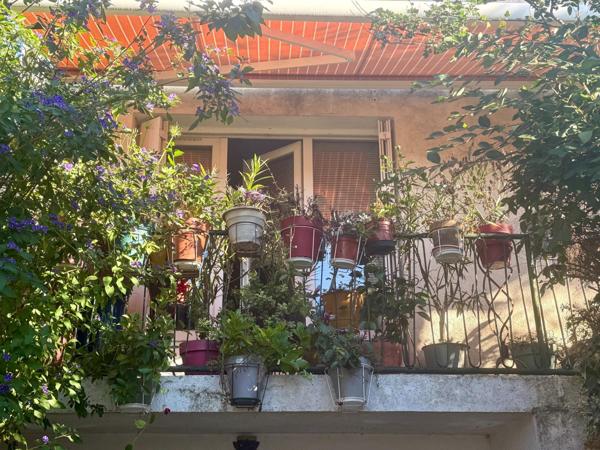 Opportunité Viager 1 tête