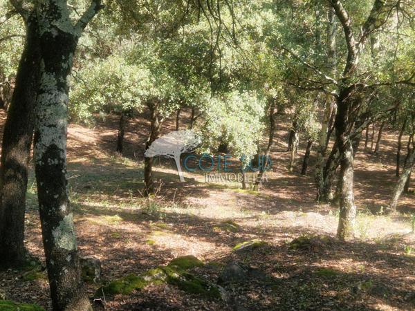 Lorgues (83510) Maison Lorgues 5 pièces 3 chambres avec piscine et garage, dans un quartier résidentiel, en position dominante
