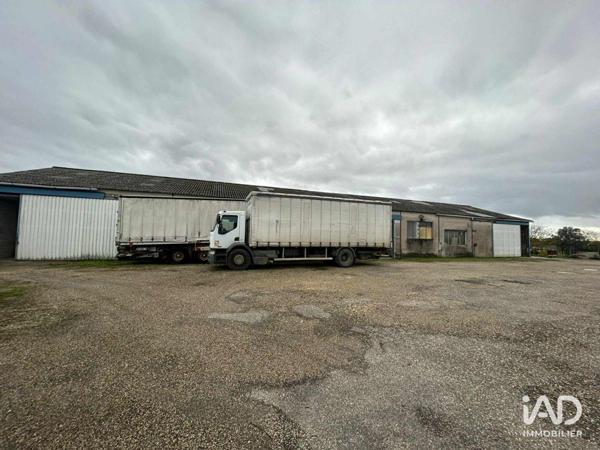 Local d’activité à vendre 3 300 m² Mézin