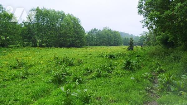 Terrain  à bâtir sur Frenes