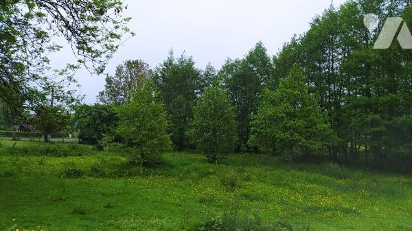 Terrain  à bâtir sur Frenes