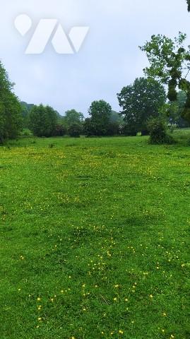 Terrain  à bâtir sur Frenes