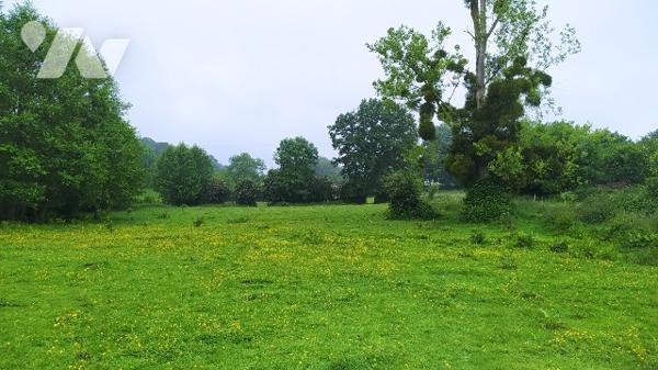Terrain  à bâtir sur Frenes