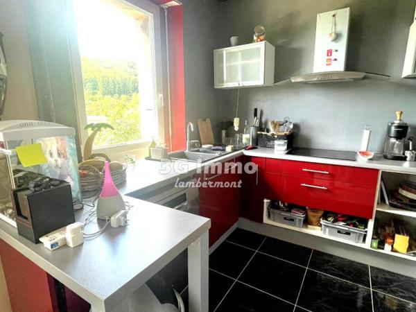 Vente / Maison mitoyenne à Saulnes (54650)