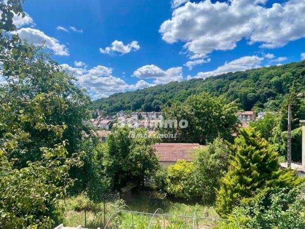 Vente / Maison mitoyenne à Saulnes (54650)