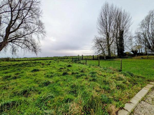 Achat - Maison | Fermette Quaëdypre 59380 8 pièces 215 m 2 4800 m 2