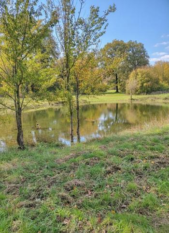 Forêt de 70 ha à 20 min de La Rochelle – Chasse, nature et patrimoine