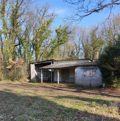 Forêt de 70 ha à 20 min de La Rochelle – Chasse, nature et patrimoine