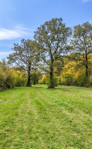 Forêt de 70 ha à 20 min de La Rochelle – Chasse, nature et patrimoine