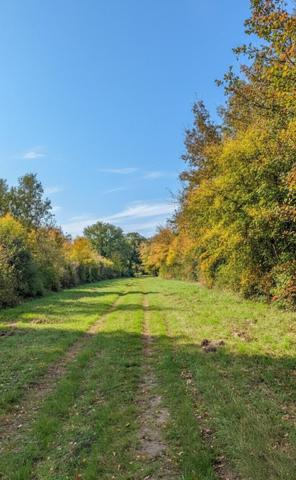 Forêt de 70 ha à 20 min de La Rochelle – Chasse, nature et patrimoine
