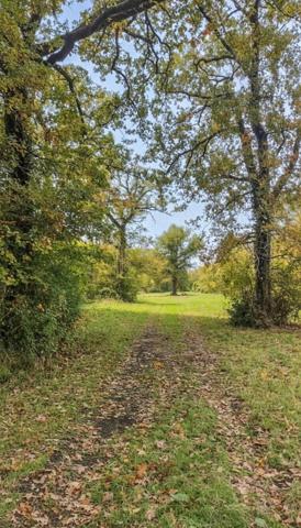 Forêt de 70 ha à 20 min de La Rochelle – Chasse, nature et patrimoine