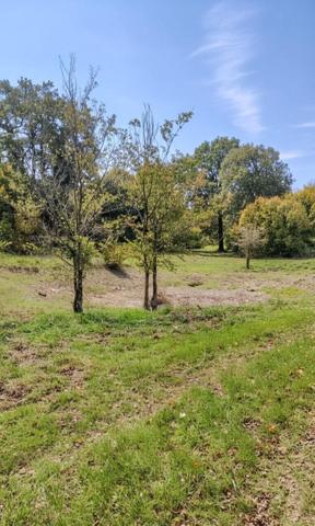 Forêt de 70 ha à 20 min de La Rochelle – Chasse, nature et patrimoine