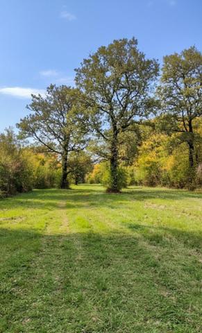 Forêt de 70 ha à 20 min de La Rochelle – Chasse, nature et patrimoine