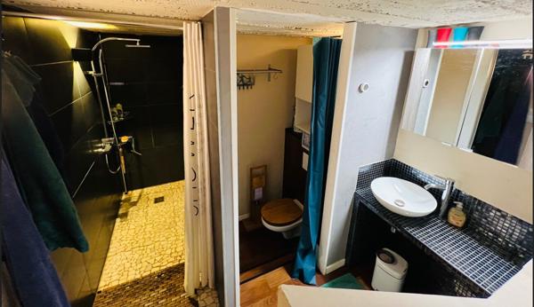 Spacieux duplex inversé 5 pièces - 126 m² - calme et atypique à Bischheim