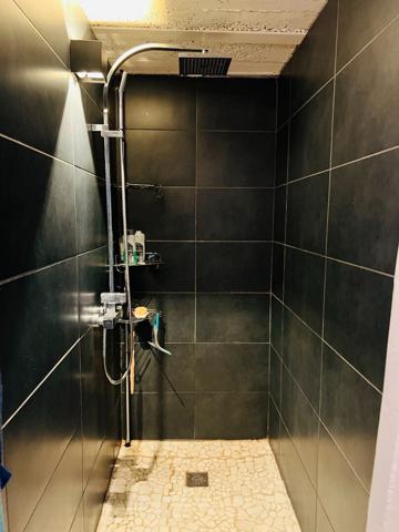 Spacieux duplex inversé 5 pièces - 126 m² - calme et atypique à Bischheim