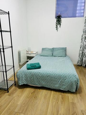 Spacieux duplex inversé 5 pièces - 126 m² - calme et atypique à Bischheim