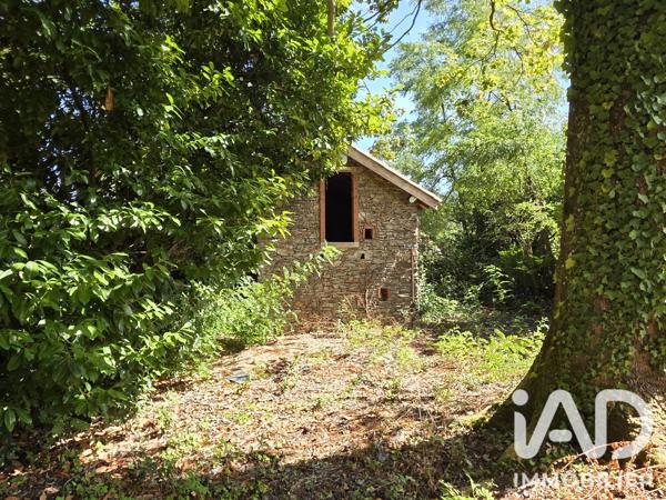 Maison à vendre 12 pièces 399 m² Saint-Amans-Soult