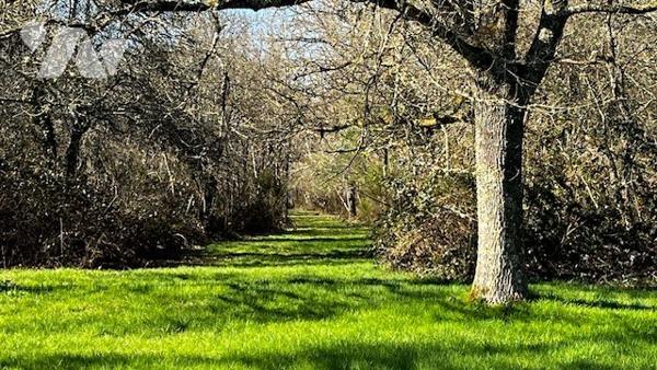Maison ancienne restaurée