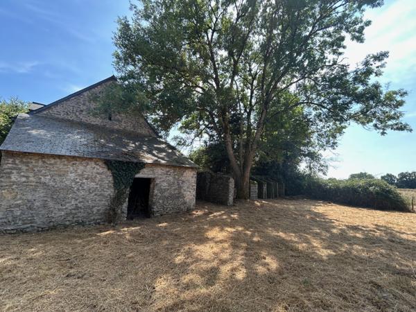 Maison à vendre à Brée (53150) - Mayenne