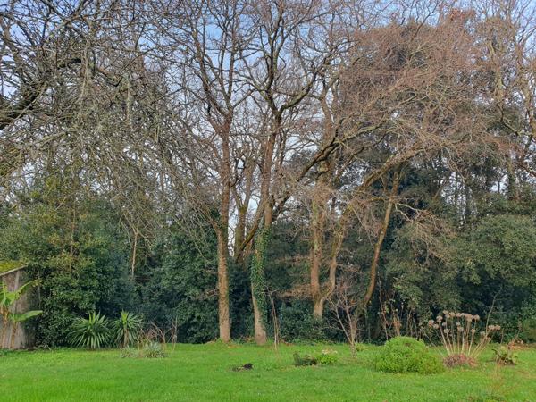 Maison 34m2 sur beau terrain proche plage