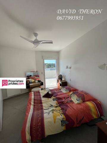 Appartement Castelnau Le Lez 4 pièce(s) 96.38 m2 rooftop