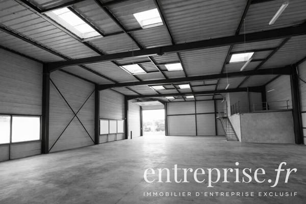 A LOUER - LOCAL D'ACTIVITE 555 m2 - BEAUCOUZE