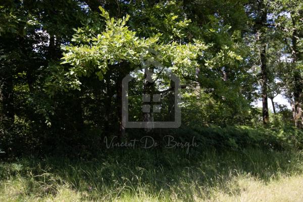 Terrain Constructible de 2300 m² – Certificat d'Urbanisme Opérationnel Obtenu – À 15 min de Sarlat
