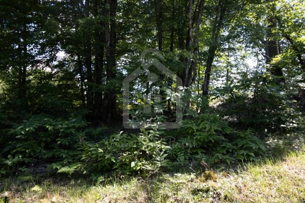 Terrain Constructible de 2300 m² – Certificat d'Urbanisme Opérationnel Obtenu – À 15 min de Sarlat