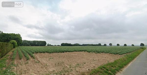 Terrain à Batir à vendre à Rely dans le Pas-de-Calais (62120), ref : 62050-1585