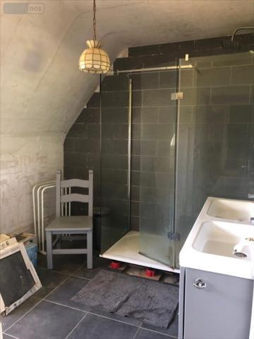 Maison individuelle à vendre à Berrien dans le Finistère (29690), ref : 29064-1082964