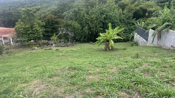 Achat vente Terrain constructible La trinite