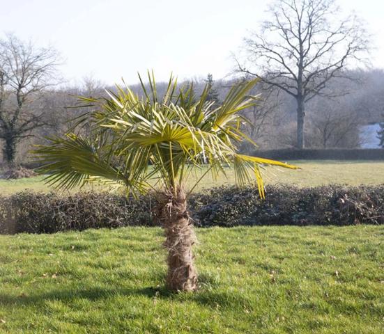 Exclusivité PARAY LE MONIAL, maison neuve 2023 - plain pied 166 m² - Terrain de 3 287 m²