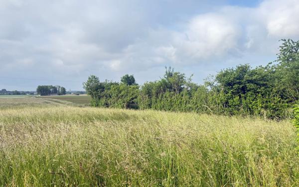 Terrain à vendre    Brabant-le-Roi