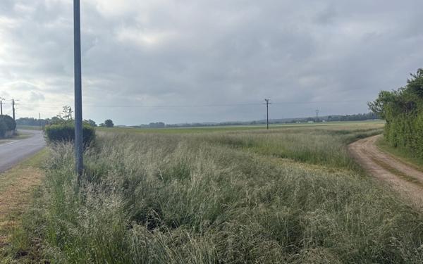 Terrain à vendre    Brabant-le-Roi