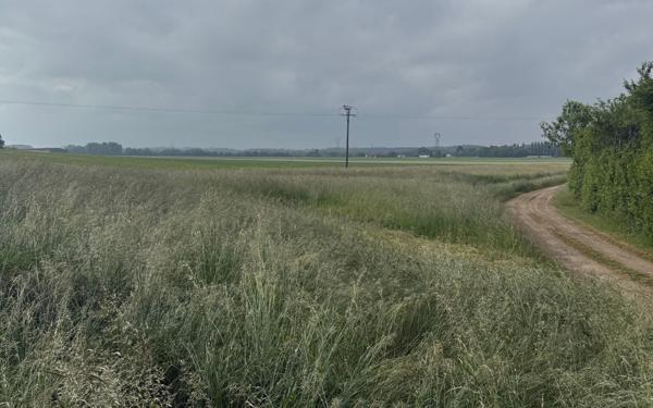 Terrain à vendre    Brabant-le-Roi