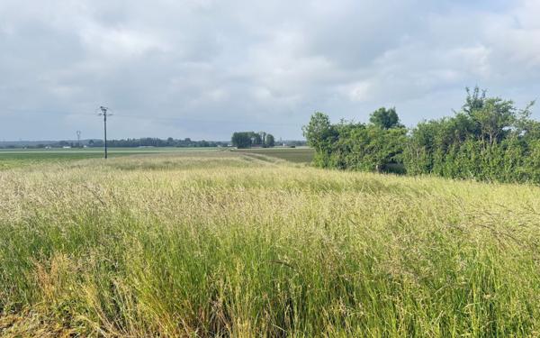Terrain à vendre    Brabant-le-Roi