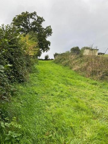 Terrain de loisirs - Bois - Etang à vendre à Fleury dans la Manche (50800), ref : 50038-2605