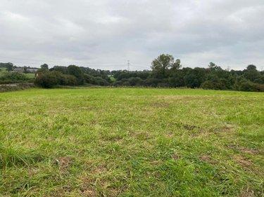 Terrain de loisirs - Bois - Etang à vendre à Fleury dans la Manche (50800), ref : 50038-2605