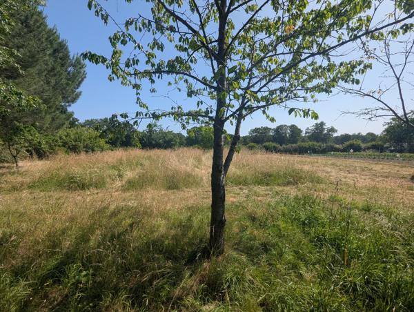 Maison de campagne avec vie de plain-pied !