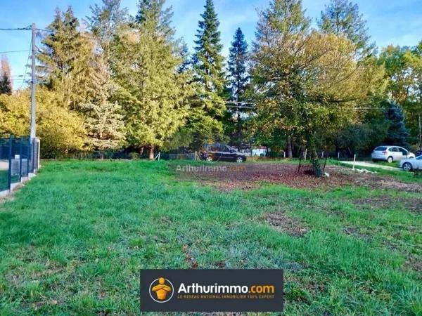Vente                                                      Terrain
                        
                                         2144 m2                     à Pommeuse