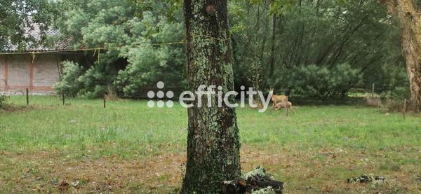 Maison 7 pièces - 159 m² Bien prestige