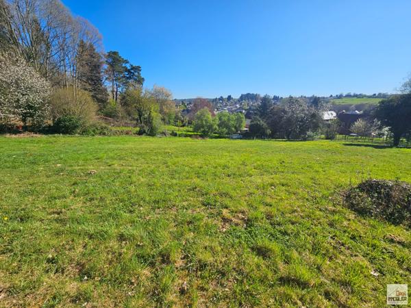 Terrain constructible