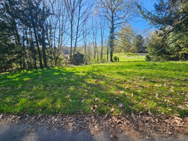 Terrain constructible