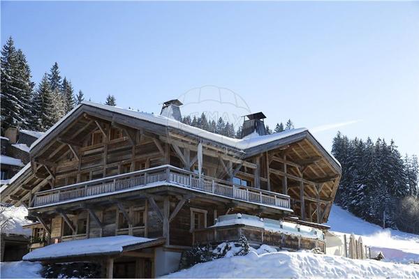 Local d’activité  en vente - Haute-Savoie - 74