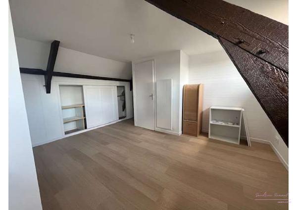 Charmant appartement rénové - VIHIERS