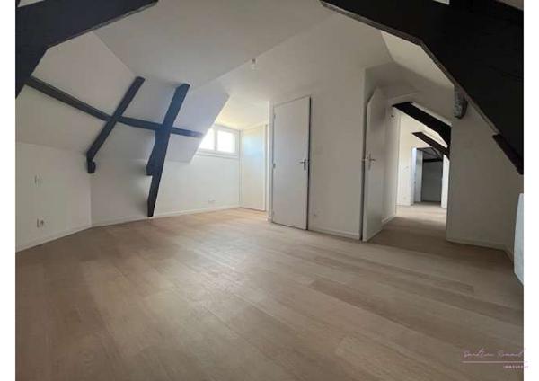 Charmant appartement rénové - VIHIERS